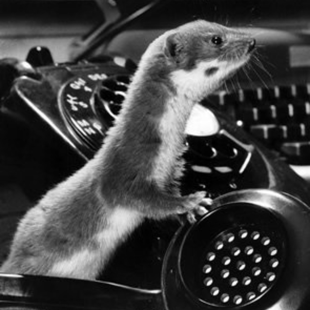 Meet your Posher, Marissa